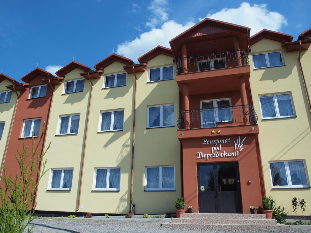 Pensjonat pod Pieprzówkami Zalesie Gorzyckie Exterior foto