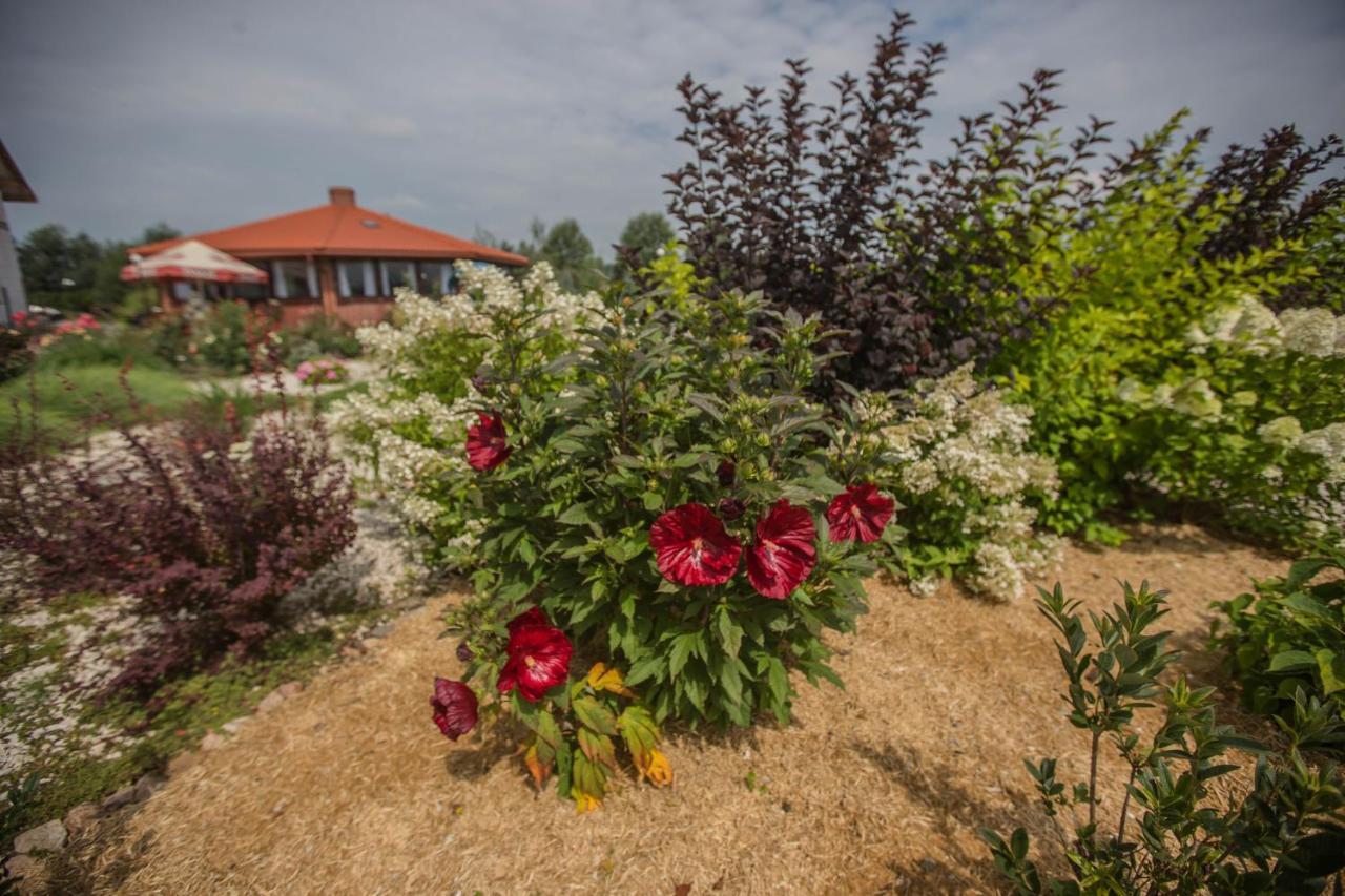 Pensjonat pod Pieprzówkami Zalesie Gorzyckie Exterior foto